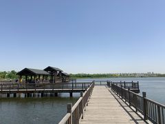 -天津东丽湖风景区
