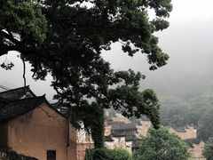 -杨家堂村