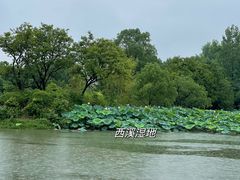 -西溪国家湿地公园