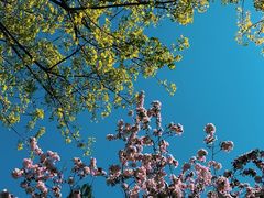 -大兴滨河森林公园