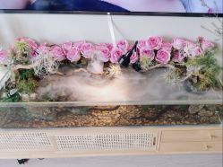 -Lumi露米·美甲美睫品质店