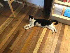 -猫的天空之城概念书店(杭州南宋御街店)