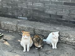 -云龙山
