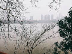 -李公堤