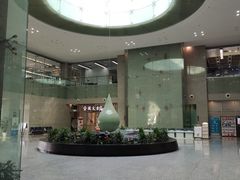 -金陵图书馆