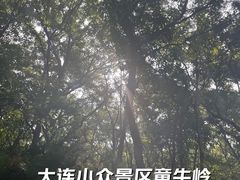 -童牛岭风景区