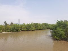 -深圳湾公园(南山区)