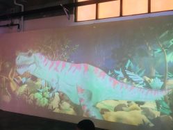 -恐龙探索乐园(磁器口店)