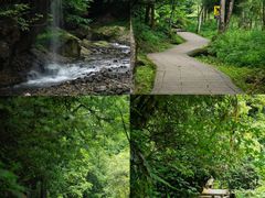 -西岭雪山大飞水景区