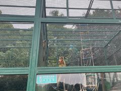 -无锡动物园·太湖欢乐园