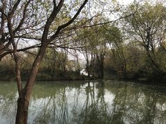 -西溪国家湿地公园