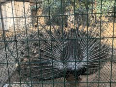 -武汉紫薇都市田园