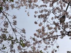 -南浦大桥长途旅游客运站