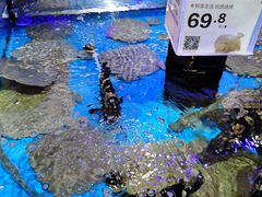 -百荣世贸商城