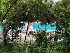 蒸三文鱼配刁草汁-南沙游艇会·大兵船餐厅