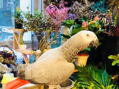 -森野花艺培训·企业团建活动沙龙