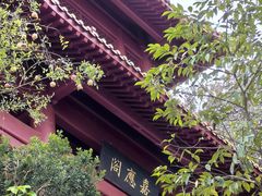 -南沙天后宫景区