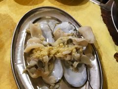 爱尔兰圣子皇-蚝专家(北滘店)