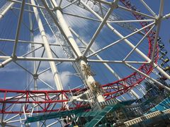 -哈尔滨文化公园