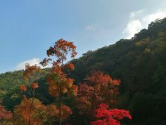 -龙道沟景区