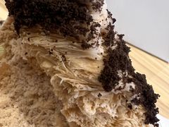 -Ice Monster冰馆·CNN评选全球十大甜品(国贸商城店)