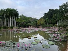 -中国科学院西双版纳热带植物园