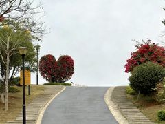 -东莞植物园
