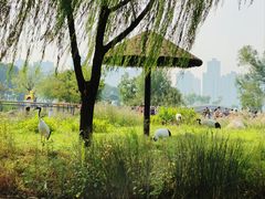 -武汉动物园
