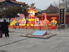 -曹州牡丹园