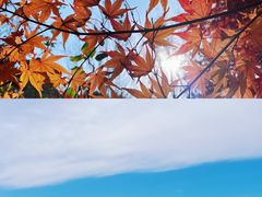 -香山公园