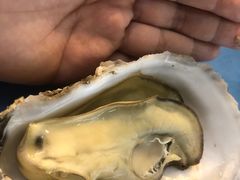 -千岛蚝高压锅生蚝·人参火锅(白云万达店)