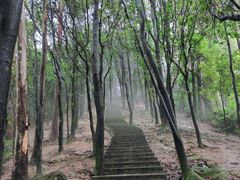 -火炉山森林公园