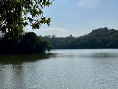 -深圳仙湖植物园
