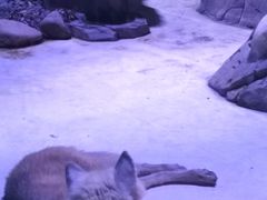 -上海海昌海洋公园