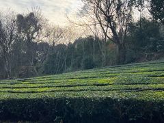 -敬亭山风景名胜区