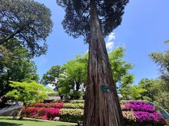 -红螺寺