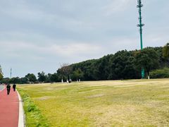 -艾溪湖湿地公园
