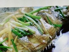 -顺德碧桂园西苑泛翠庭