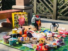 -铁山坪森林公园