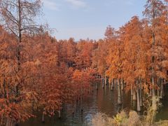 -青山湖景区
