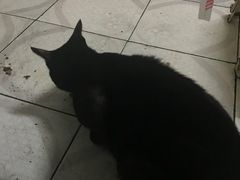 -胡仁根胡记炸炸炸