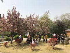 -洛阳市隋唐城遗址植物园