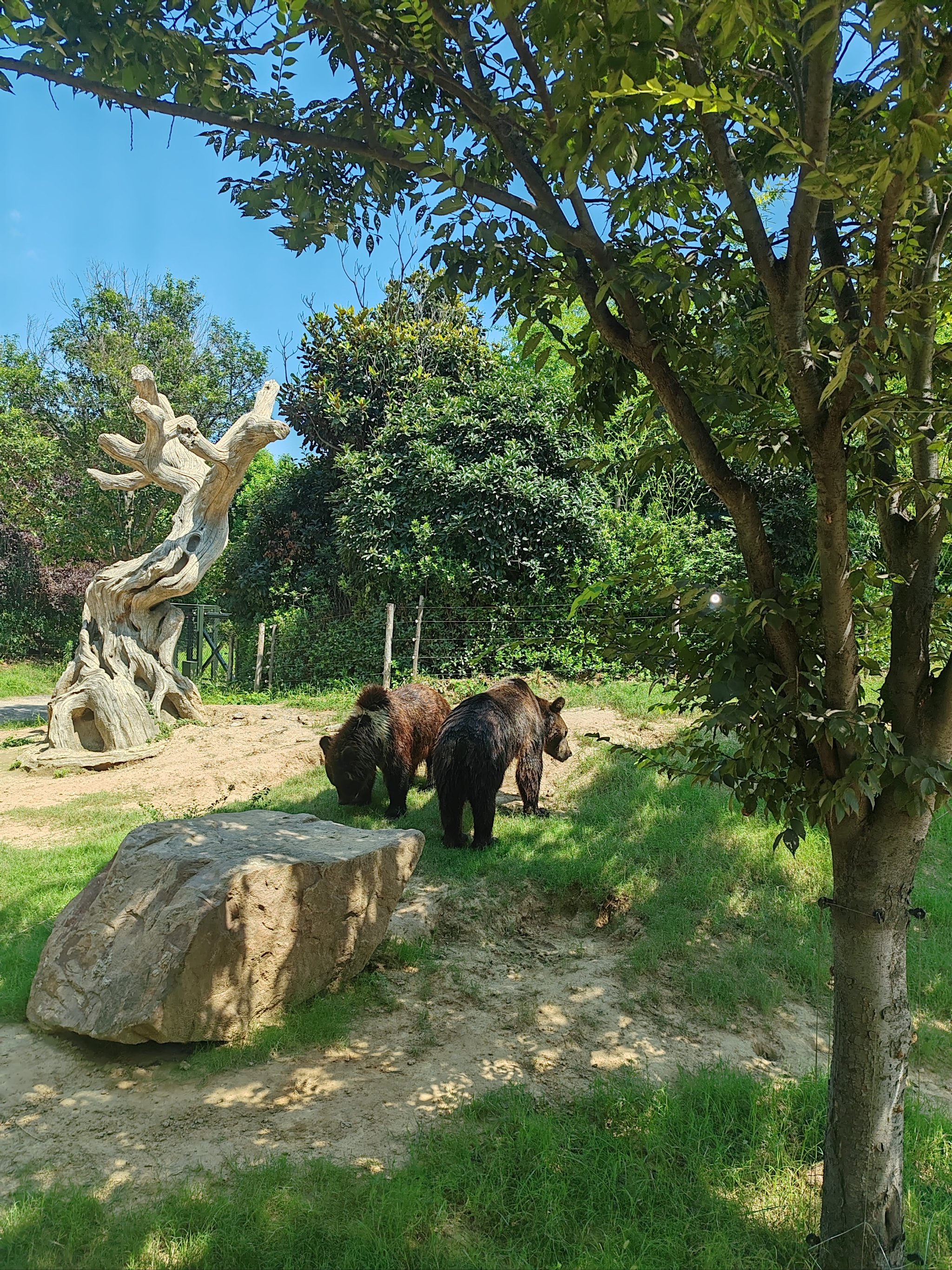 大珠山野生动物园图片