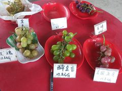 -马陆小张葡萄园农家乐