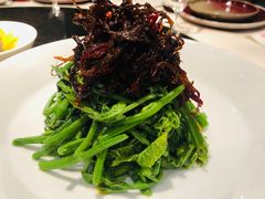 -泓0871臻选云南菜·味庄