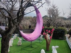 -香雪海