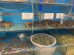 -前王院•巧克力海鲜市集餐厅(万平口店)