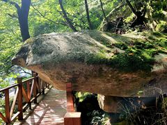 -青峰峡国家森林公园