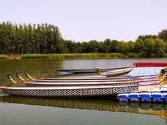 -大兴滨河森林公园