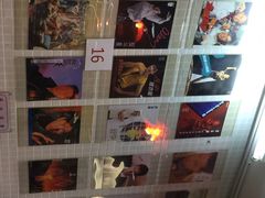 兰芳园茶餐厅(上环店)-兰芳园(上环店)